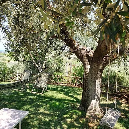 Agriturismo Villa Carducci Castagneto Carducci Exterior photo