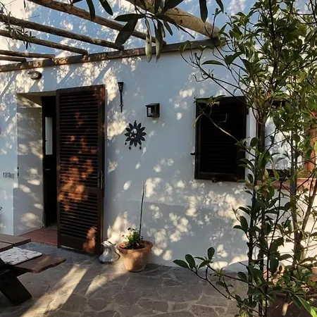 Agriturismo Villa Carducci Castagneto Carducci Exterior photo