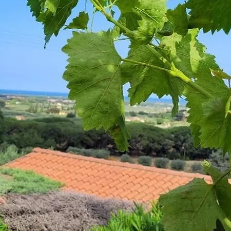 Agriturismo Villa Carducci Castagneto Carducci Exterior photo