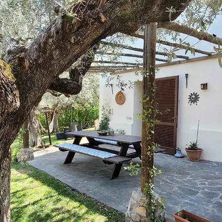 Agriturismo Villa Carducci Castagneto Carducci Exterior photo
