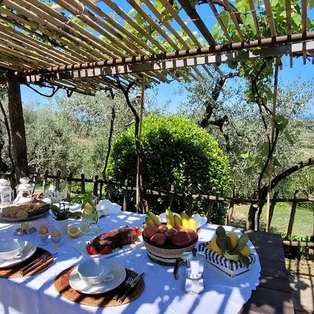 Agriturismo Villa Carducci Castagneto Carducci Exterior photo