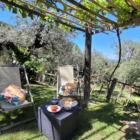 Agriturismo Villa Carducci Castagneto Carducci Exterior photo