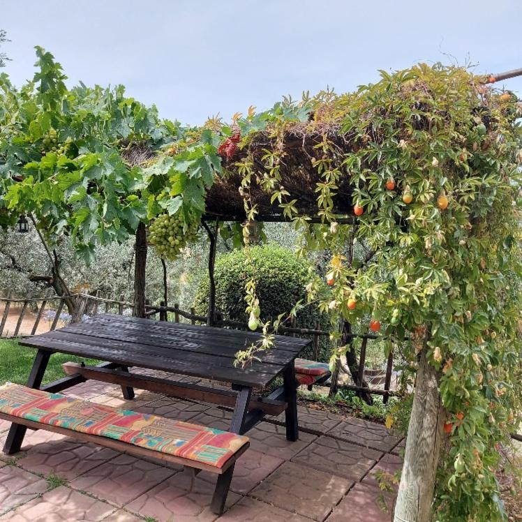 Holiday home Carducci Castagneto Carducci