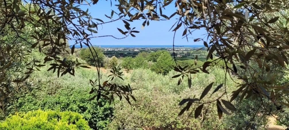Carducci Holiday home *