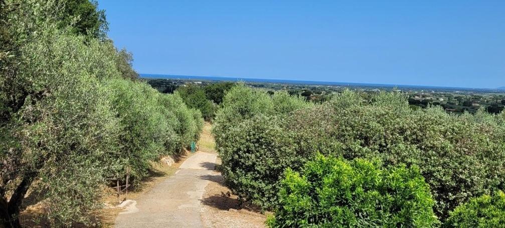 Holiday home Carducci