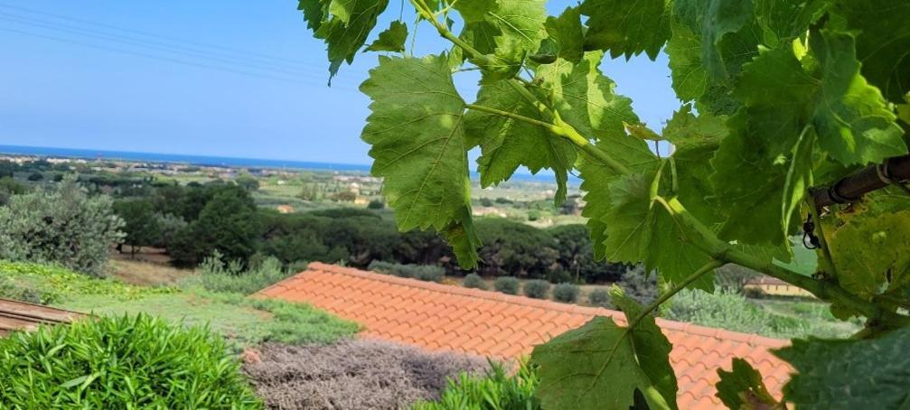 Holiday home Carducci