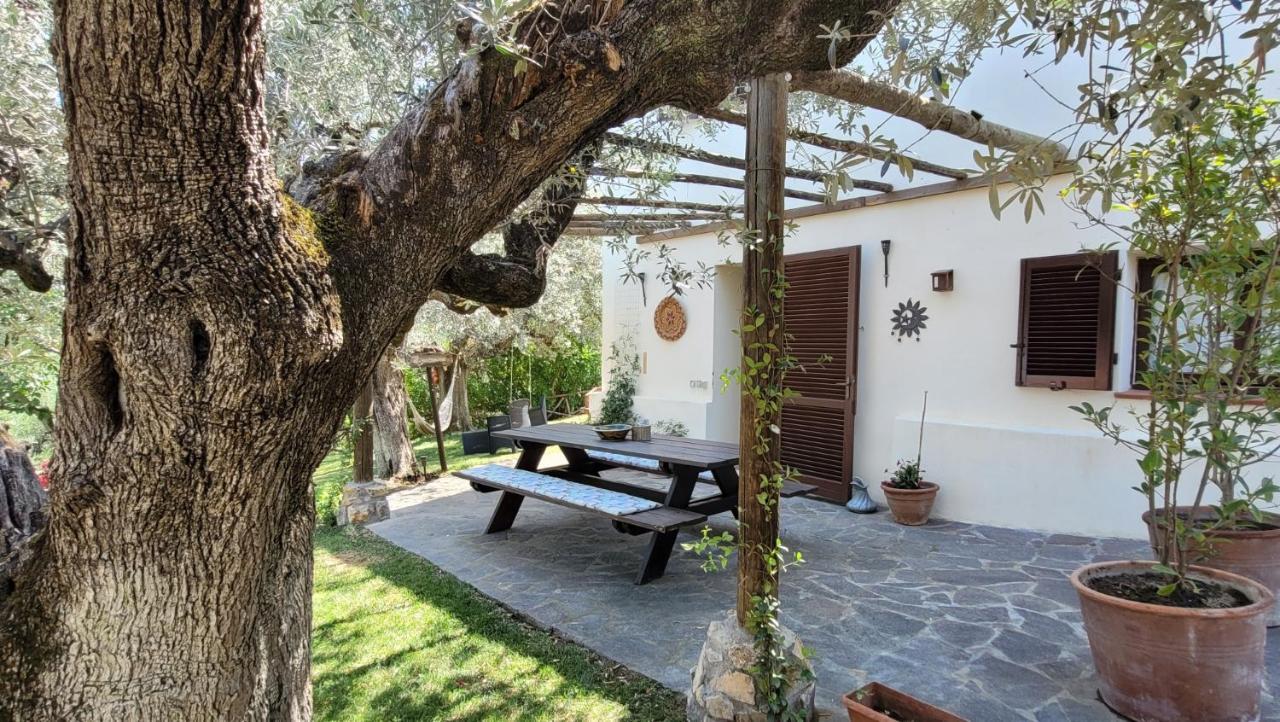 Carducci Vakantiehuis *